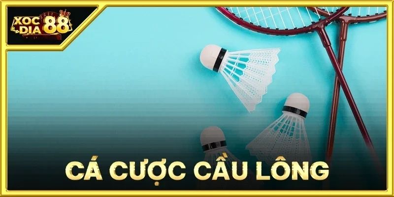 Cá cược cầu lông tại Xocdia88 – Thế giới thể thao kịch tính 2 Cá cược cầu lông tại Xocdia88 có gì khiến người chơi yêu thích