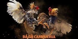 da ga Campuchia 1